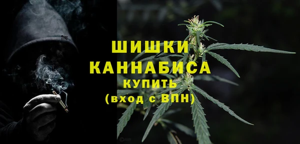 стафф Новодвинск