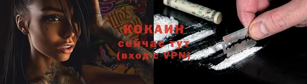 стафф Новодвинск