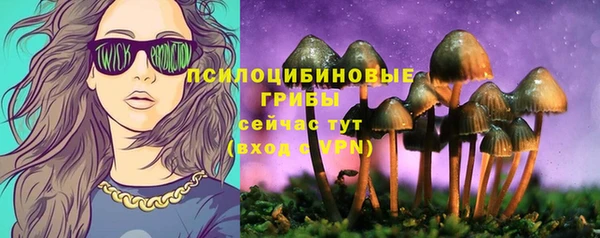 круглые Новозыбков