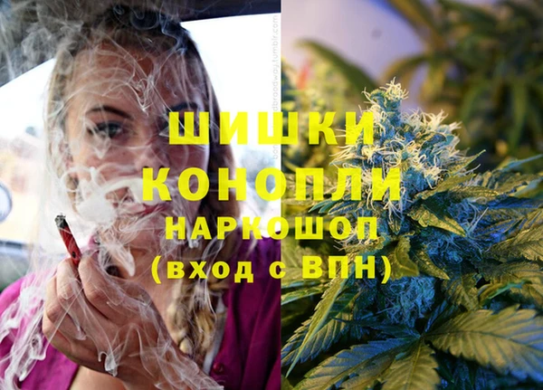 стафф Новодвинск