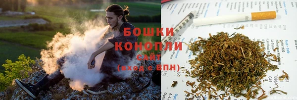 стафф Новодвинск