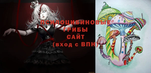 герыч Новокубанск